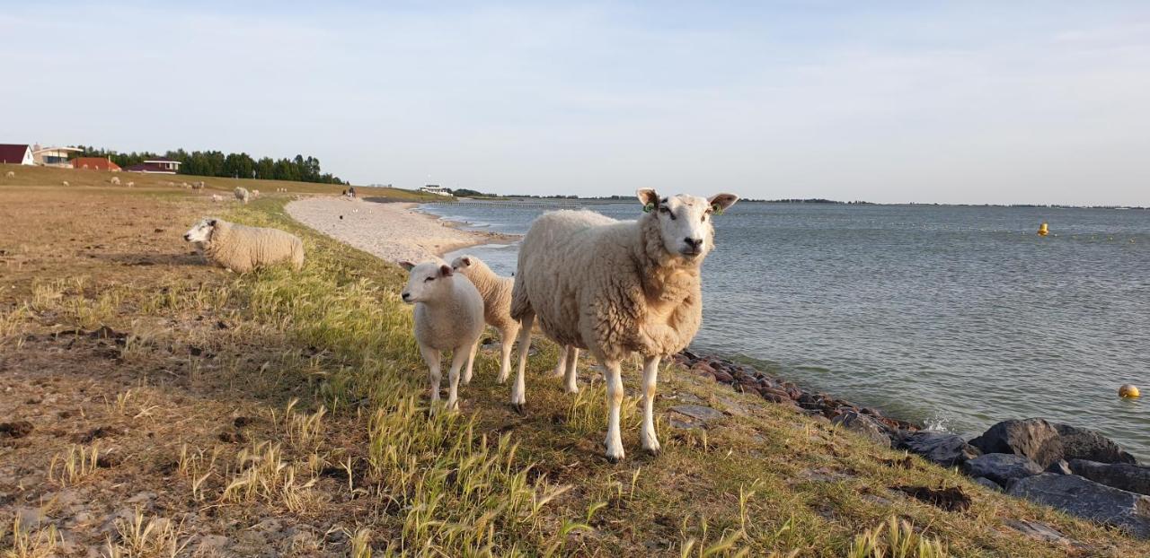 Vakantiehuis Uus Klinte ヒンデローペン エクステリア 写真